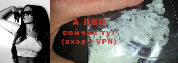 прущие крисы Каменногорск