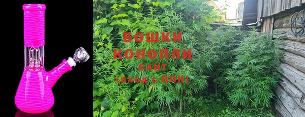 прущие крисы Каменногорск