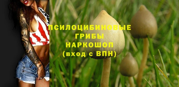 метамфетамин Каменка