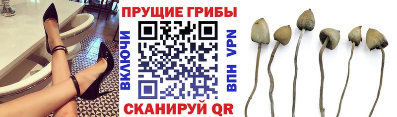 Галлюциногенные грибы мухоморы  Купить где  Опочка 
